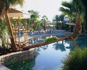 piscine Royal Garden